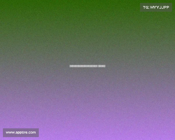 布雷默与伊尔迪兹因身体负荷管理缺席训练 但问题不大